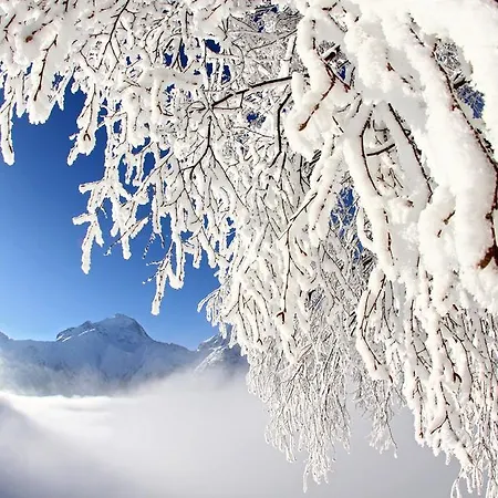 Les Flocons Λε Ντεζ Αλπ