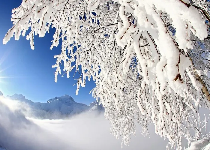 Les Flocons Les Deux Alpes